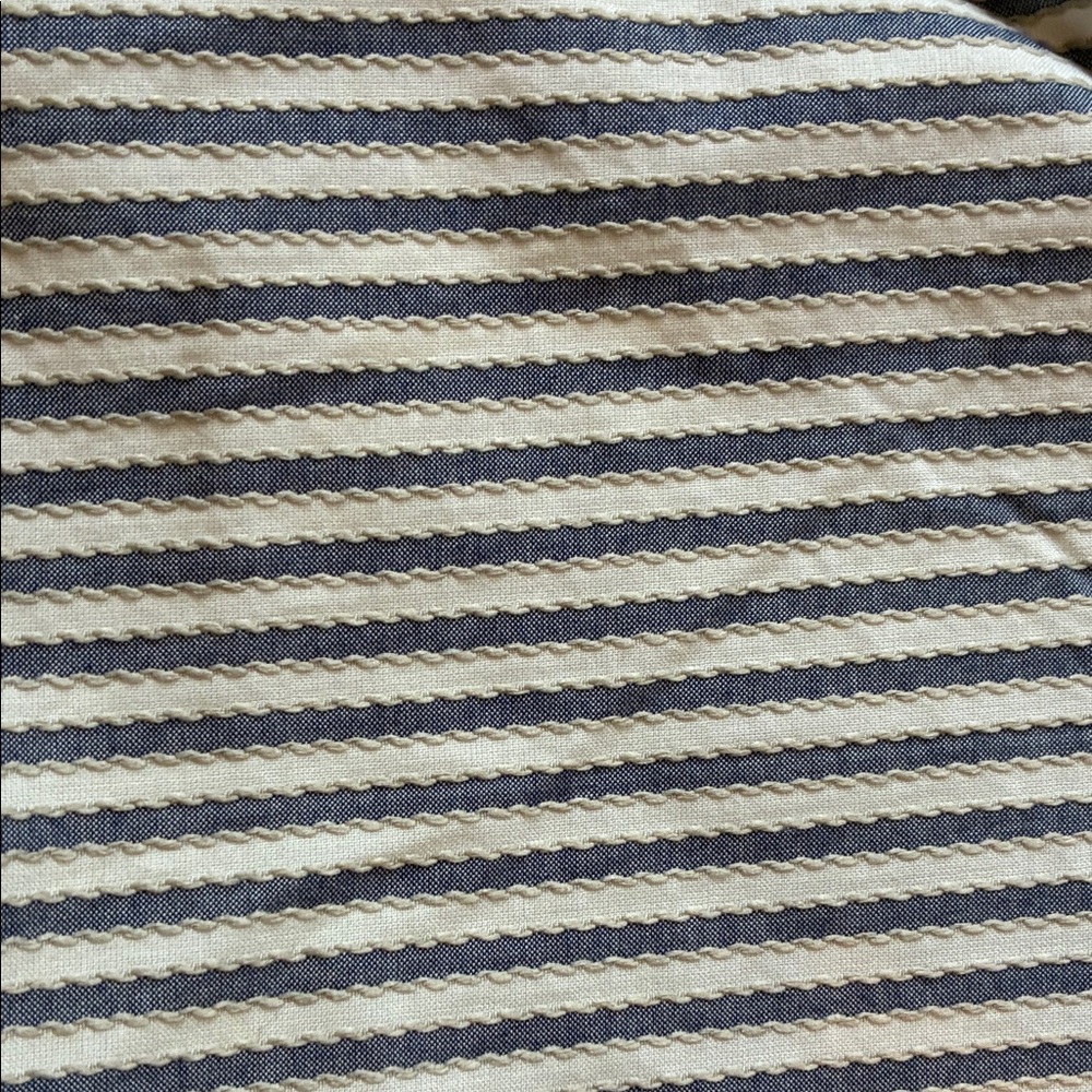 The Limited Striped Skirt in Blue and White - Picture 2 of 4